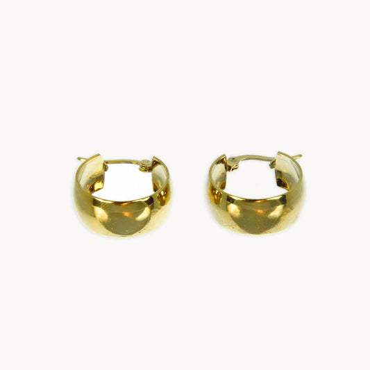 Nala Thick Hoops Earrings