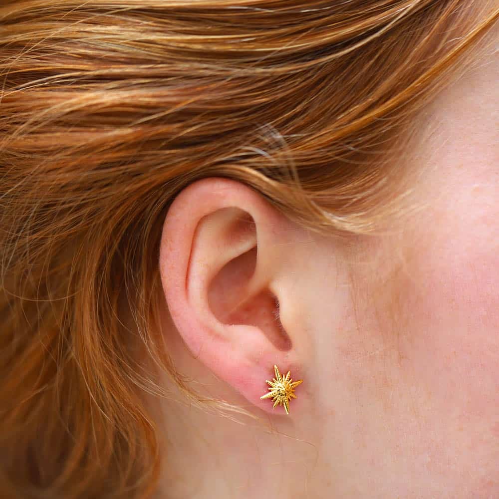 Helio Moon And Star Earrings