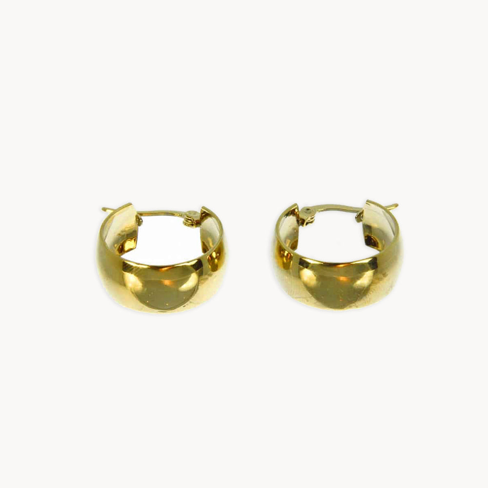 Nala Thick Hoops Earrings